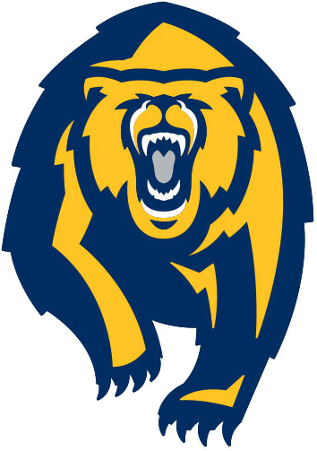 California Golden Bears 2013-Pres Alternate Logo diy fabric transfer...